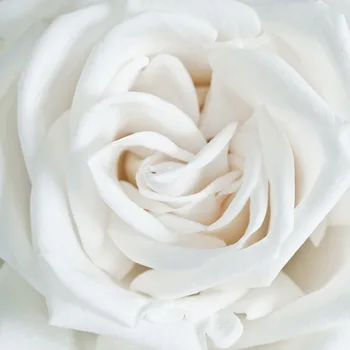 Moderna Kupaonica Zavjese Ruža cvijet 3D Guste Zavjese Spavaće sobe Dnevni boravak Gotove Zavjese